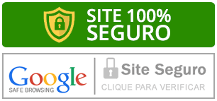 google-site-seguro